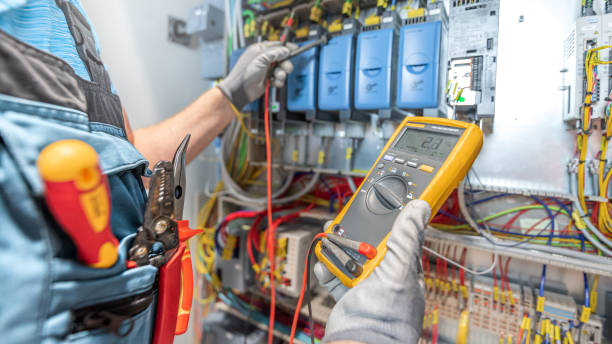 Best Electric Panel Repair  in Tishomingo, OK