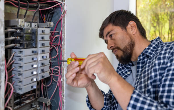 Best Home Electrical Repair  in Tishomingo, OK